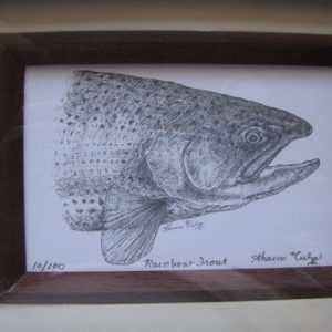 Framed Rainbow Trout Lithograph