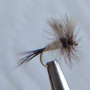 Glenbow Fly Fishing - Ausable Wulff
