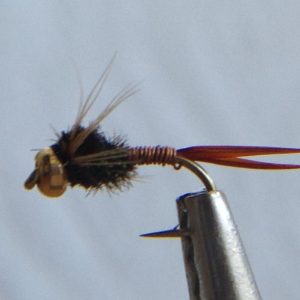 Glenbow Fly Fishing - Bead Head, Copper John