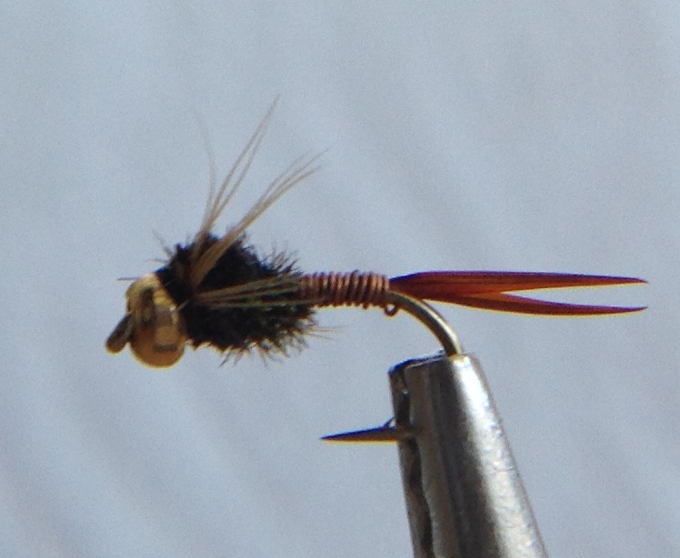 Glenbow Fly Fishing - Bead Head, Copper John