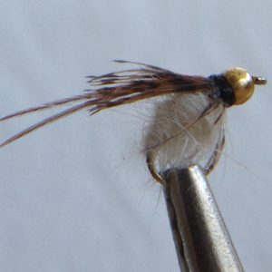 Bead Head, Caddis Pupa