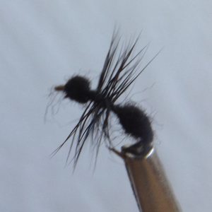 Glenbow Fly Fishing - Black Ant Dry Fly