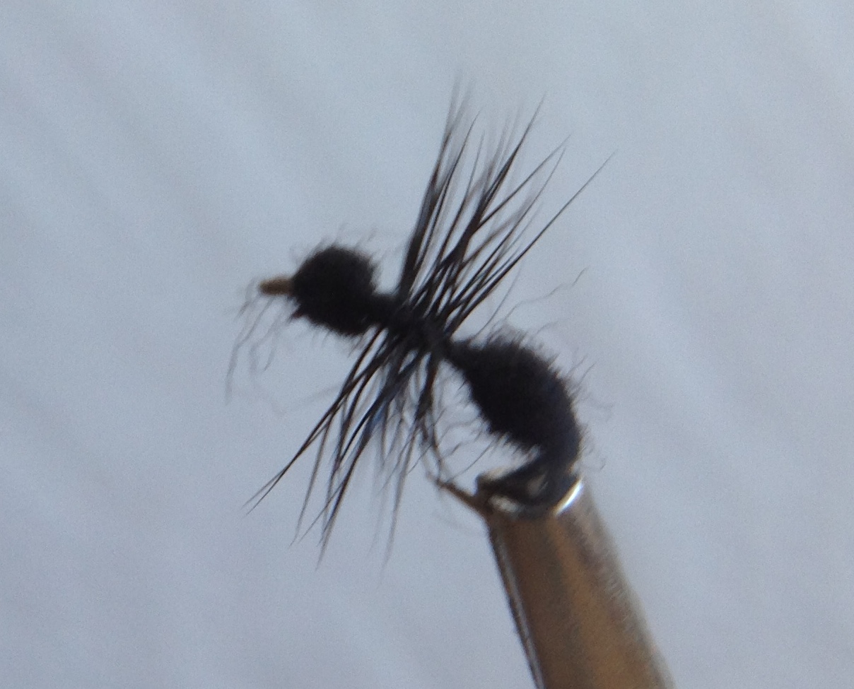 Glenbow Fly Fishing - Black Ant Dry Fly