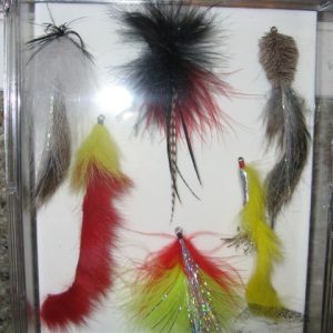 Pike Fly Collection 5