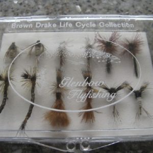 Brown Drake Life Cycle Collection