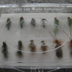 Caddis Life Cycle Collection