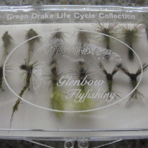 Green Drake Life Cycle Collection