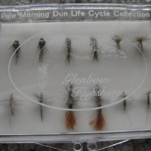 Pale Morning Dun Life Cycle Collection