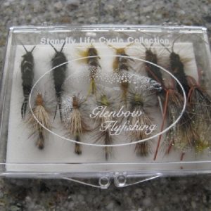 Stonefly Life Cycle Collection