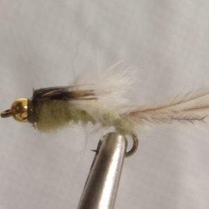 Bead Head, Poxyback Callibaetis