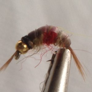 Bead Head, Scud Tan Pregnant