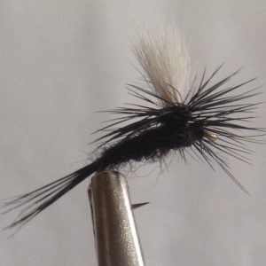 Black Gnat Parachute