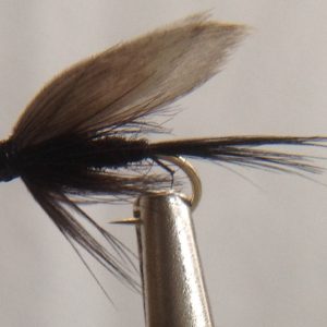 Black Gnat Wet