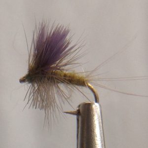 Blue Winged Olive Thorax