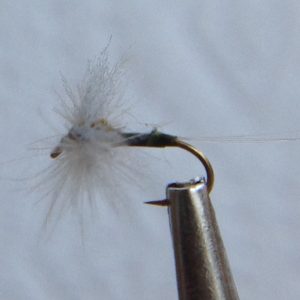 CDC Biot Spinner Blue Winged Olive -Size 14