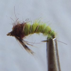 Caddis Larva Bright Green - Size 14
