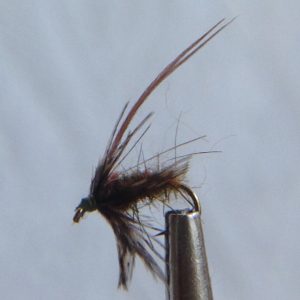 Caddis Pupa Olive - Size 14