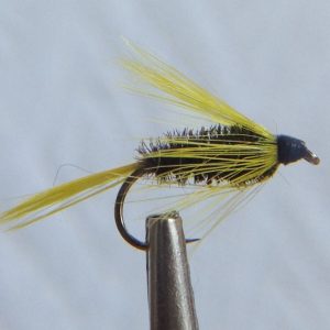 Carey's Special -Size 8