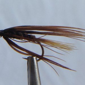 Carey's Special Brown-Size 8