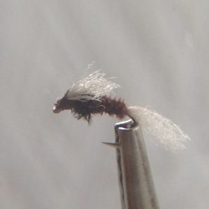 Chan's Pheasant Tail Chronie