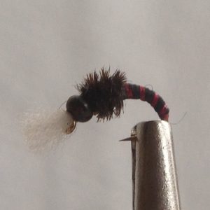 Chironomid Black/Red