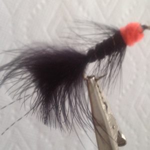 Egg Sucking Leech Orange