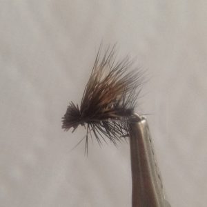Elk Hair Caddis Black