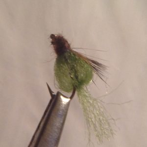 Emergent Sparkle Pupa Bright Green -Size 14