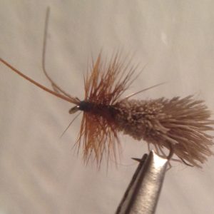 Goddard Caddis