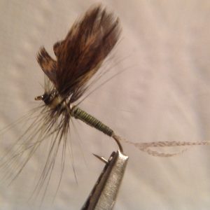 Green Drake Spinner Olive -Size 12