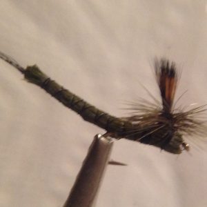 Green Paradrake -Size 12