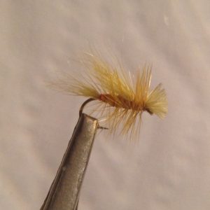 Little Yellow Stone Female -Size 14