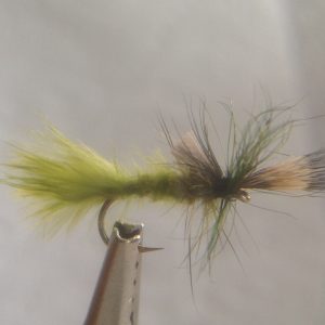 Mayfly, Cripple Green Drake