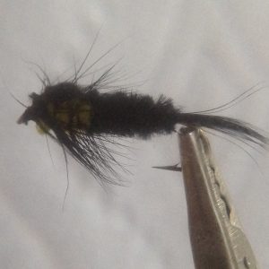Montana Stonefly Nymph