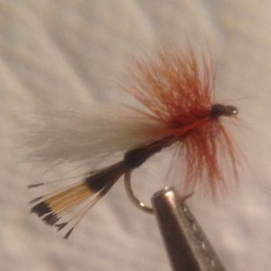 Rio Grande King Trude