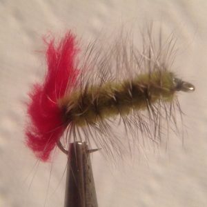 Wooly Worm Olive